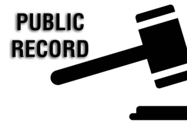 Judge’s gavel with caption “public record”
