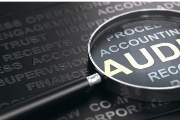 Screenshot of magnifying glass enlarging the word “audit”