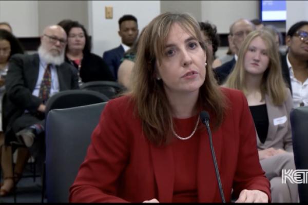 APA Allison Ball testified before an interim legislative committee